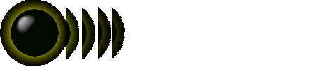 Einzelbild